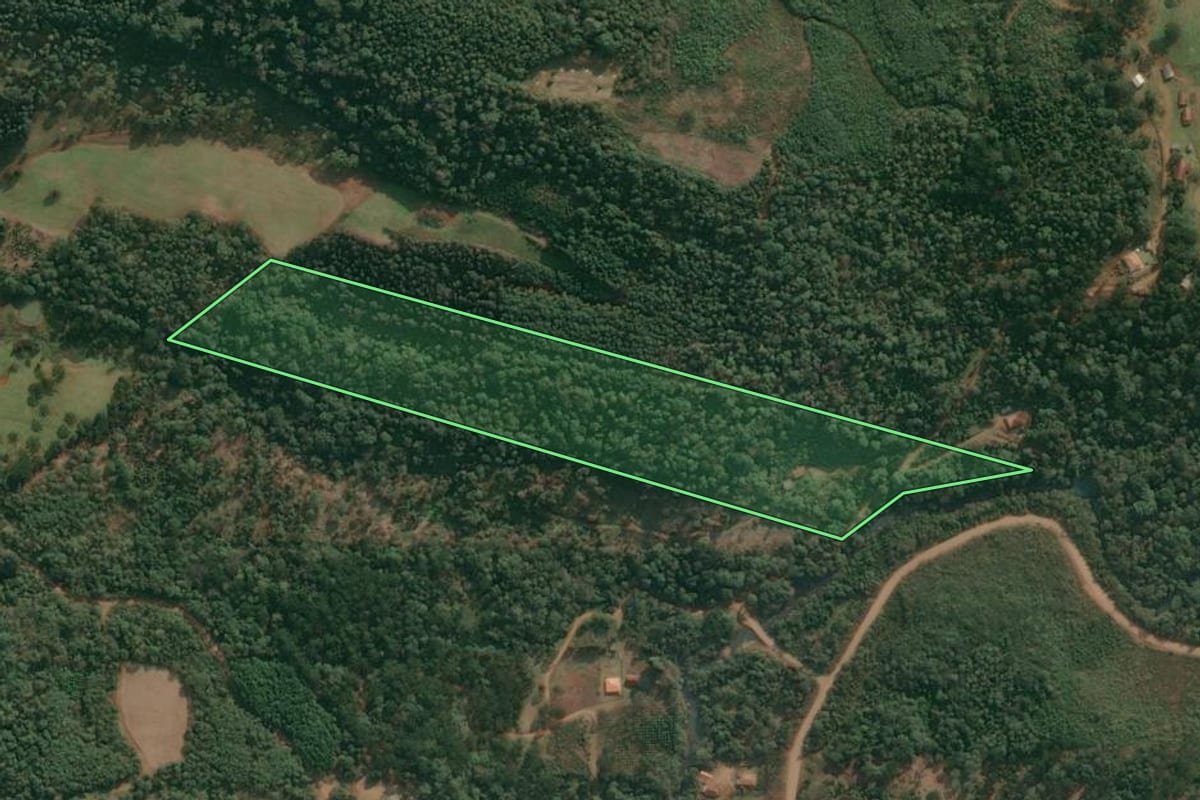 Imagem de satélite do imóvel rural em Cruz Machado (PR), com o contorno declarado no CAR desenhado por cima.