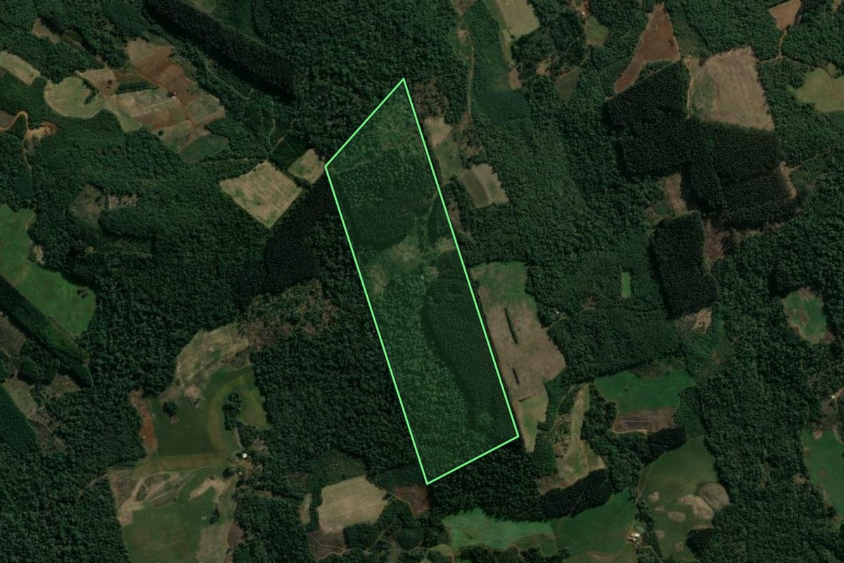 Imagem de satélite do imóvel rural em Cruz Machado (PR), com o contorno declarado no CAR desenhado por cima.