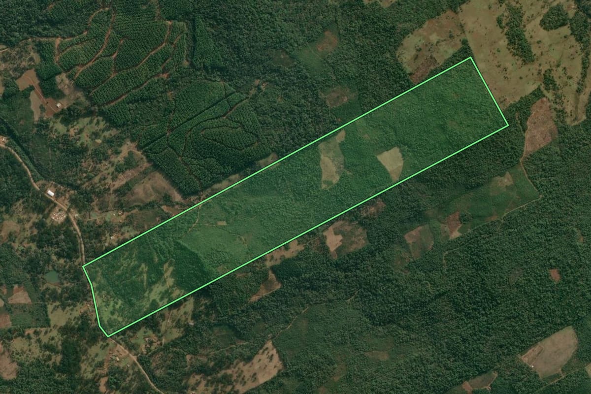 Imagem de satélite do imóvel rural em Cruz Machado (PR), com o contorno declarado no CAR desenhado por cima.
