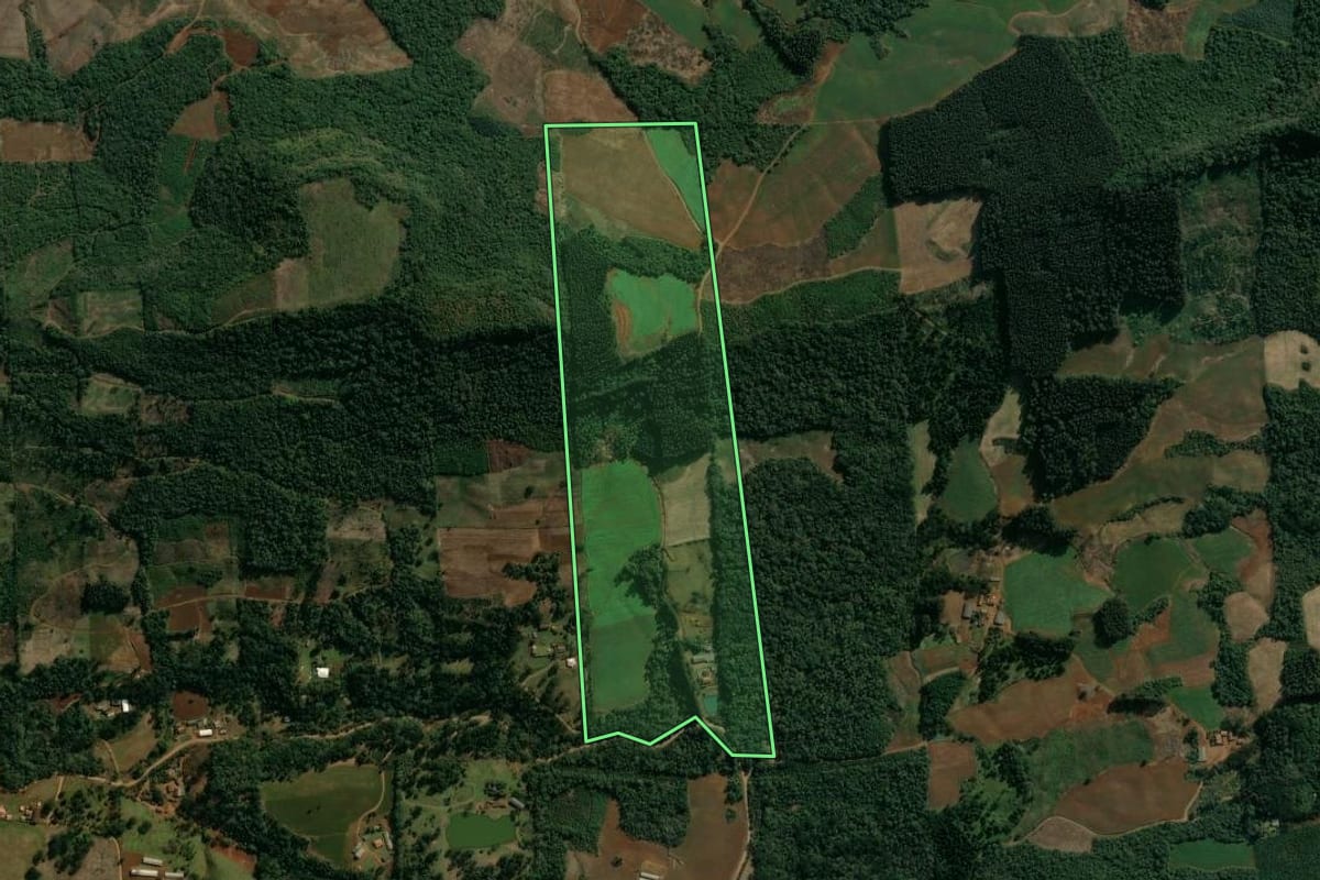 Imagem de satélite do imóvel rural em Cruz Machado (PR), com o contorno declarado no CAR desenhado por cima.