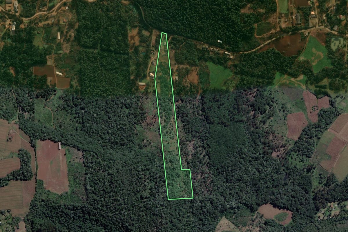 Imagem de satélite do imóvel rural em Cruz Machado (PR), com o contorno declarado no CAR desenhado por cima.
