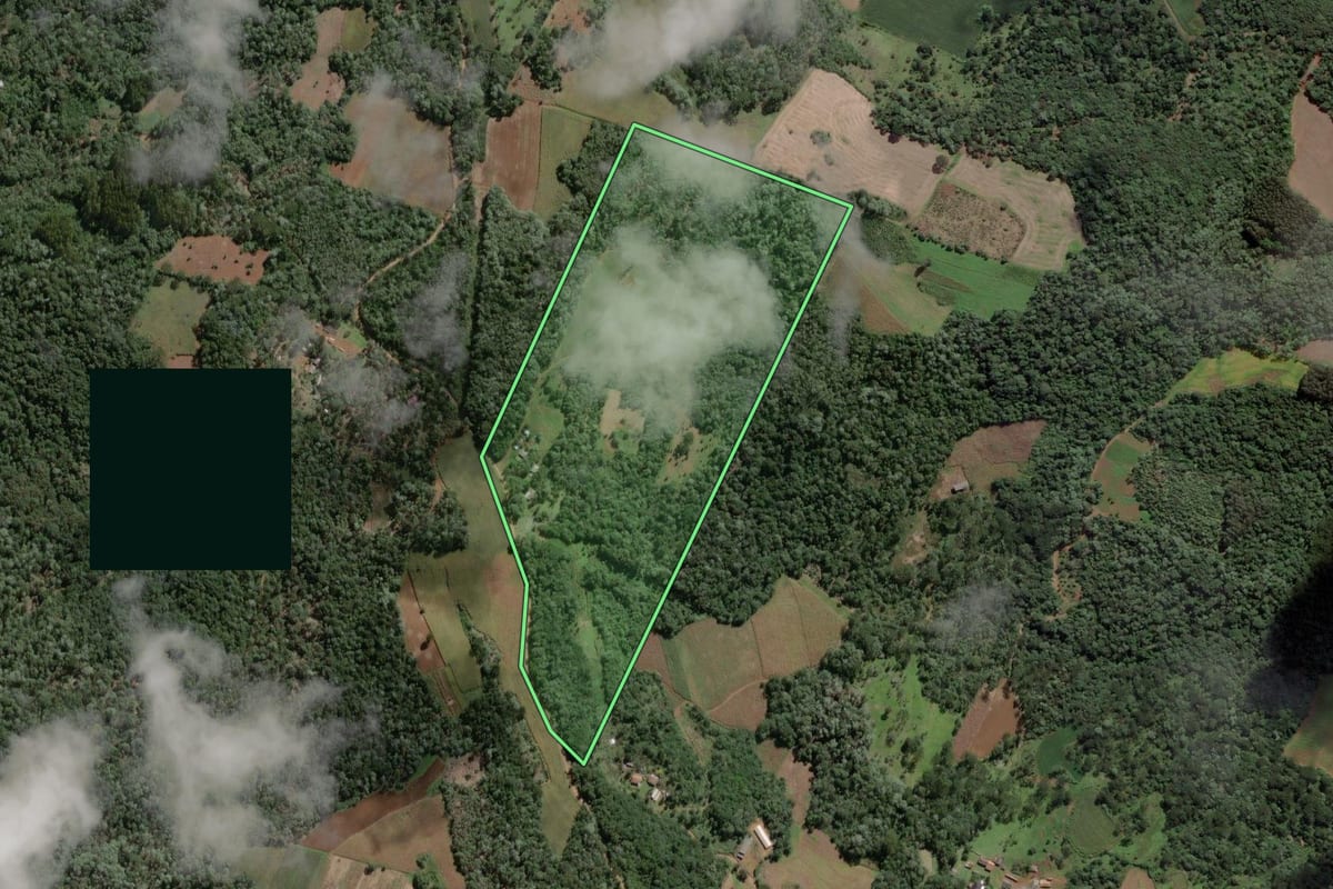 Imagem de satélite do imóvel rural em Cruz Machado (PR), com o contorno declarado no CAR desenhado por cima.