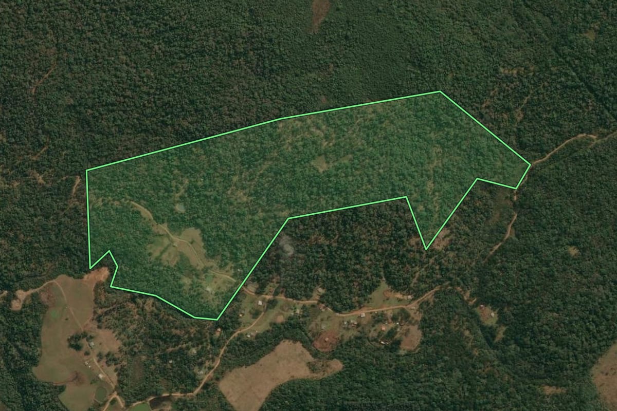 Imagem de satélite do imóvel rural em Cruz Machado (PR), com o contorno declarado no CAR desenhado por cima.