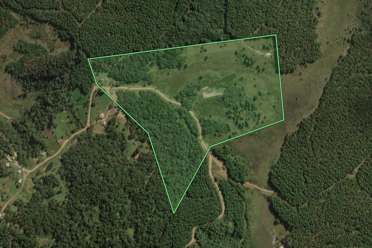 Imagem de satélite do imóvel rural em Cruz Machado (PR), com o contorno declarado no CAR desenhado por cima.