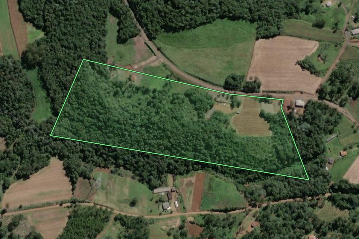 Imagem de satélite do imóvel rural em Cruz Machado (PR), com o contorno declarado no CAR desenhado por cima.