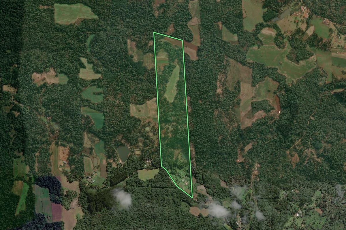 Imagem de satélite do imóvel rural em Cruz Machado (PR), com o contorno declarado no CAR desenhado por cima.