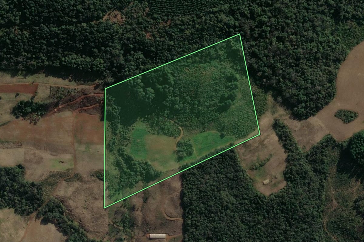 Imagem de satélite do imóvel rural em Cruz Machado (PR), com o contorno declarado no CAR desenhado por cima.