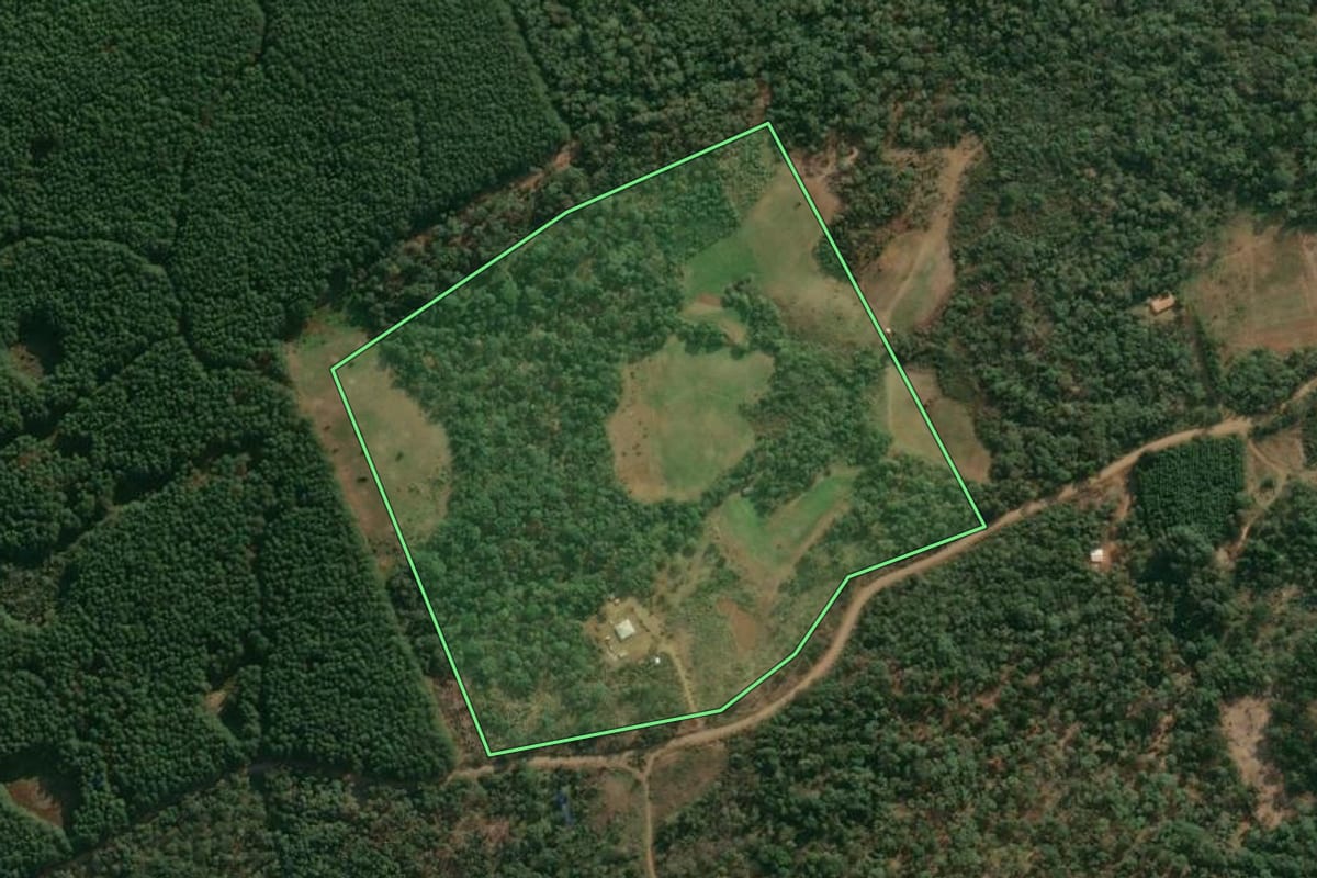 Imagem de satélite do imóvel rural em Cruz Machado (PR), com o contorno declarado no CAR desenhado por cima.