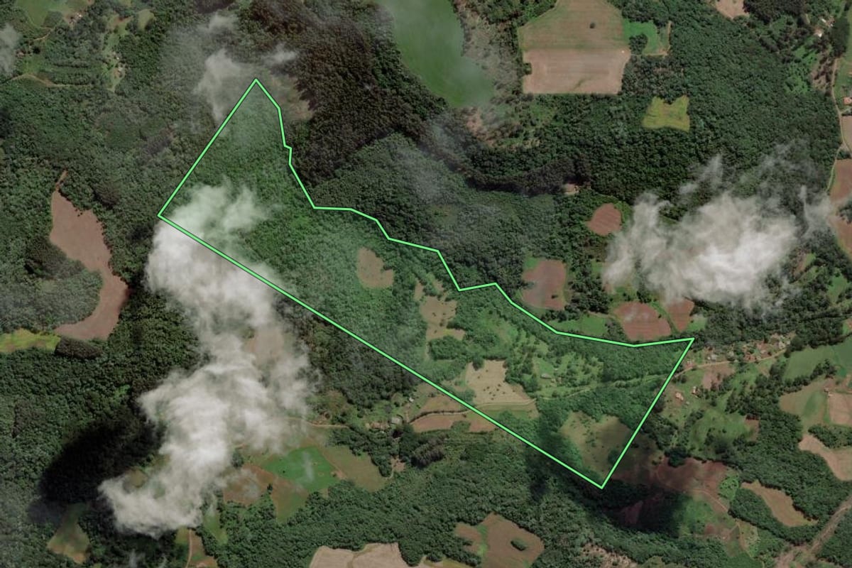 Imagem de satélite do imóvel rural em Cruz Machado (PR), com o contorno declarado no CAR desenhado por cima.