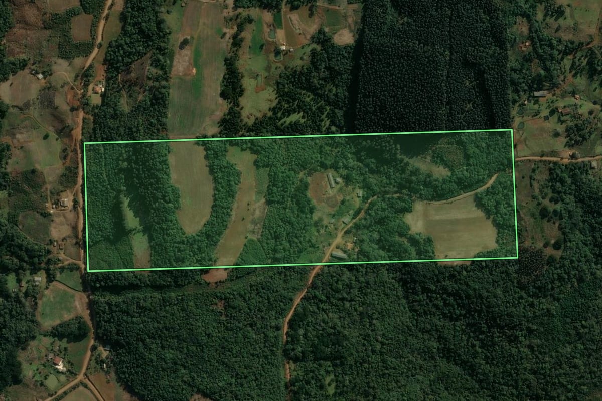 Imagem de satélite do imóvel rural em Cruz Machado (PR), com o contorno declarado no CAR desenhado por cima.