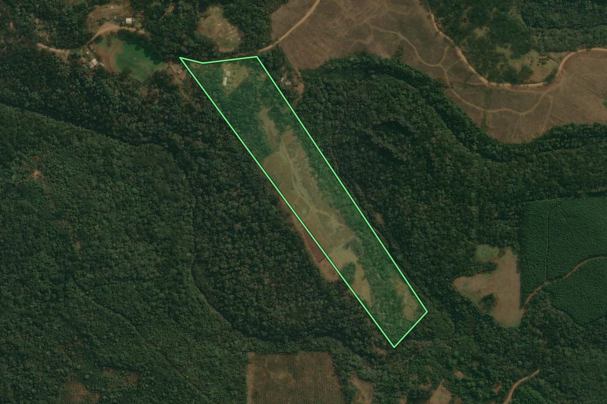 Imagem de satélite do imóvel rural em Cruz Machado (PR), com o contorno declarado no CAR desenhado por cima.
