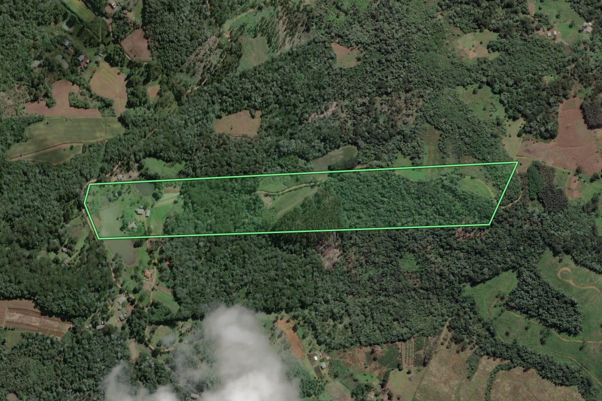 Imagem de satélite do imóvel rural em Cruz Machado (PR), com o contorno declarado no CAR desenhado por cima.