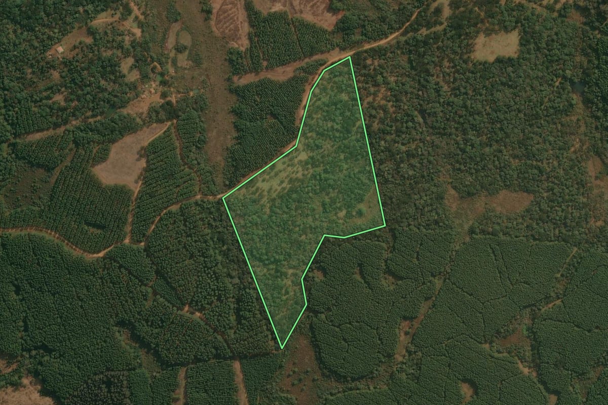 Imagem de satélite do imóvel rural em Cruz Machado (PR), com o contorno declarado no CAR desenhado por cima.