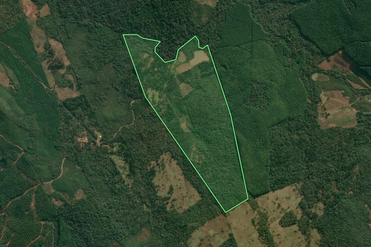Imagem de satélite do imóvel rural em Cruz Machado (PR), com o contorno declarado no CAR desenhado por cima.