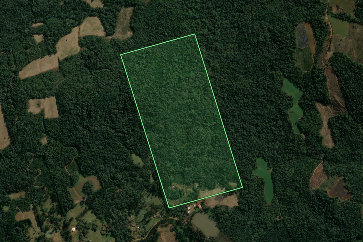 Imagem de satélite do imóvel rural em Cruz Machado (PR), com o contorno declarado no CAR desenhado por cima.