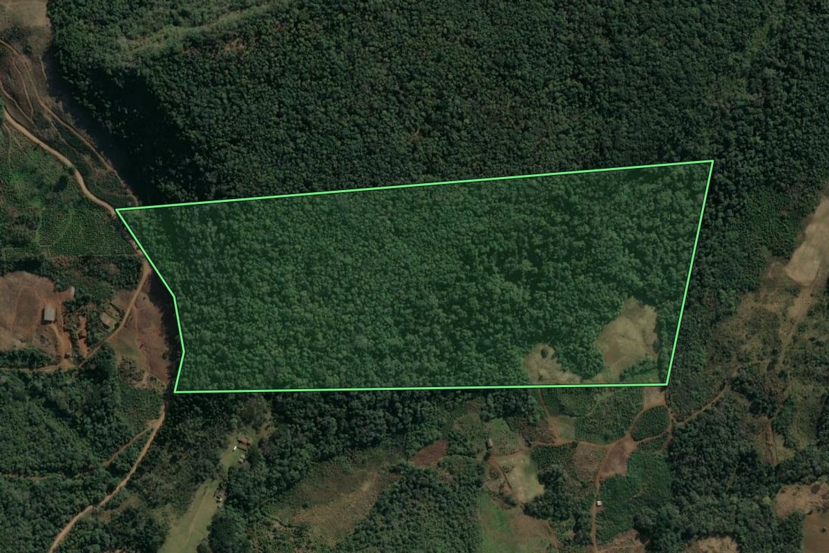 Imagem de satélite do imóvel rural em Cruz Machado (PR), com o contorno declarado no CAR desenhado por cima.