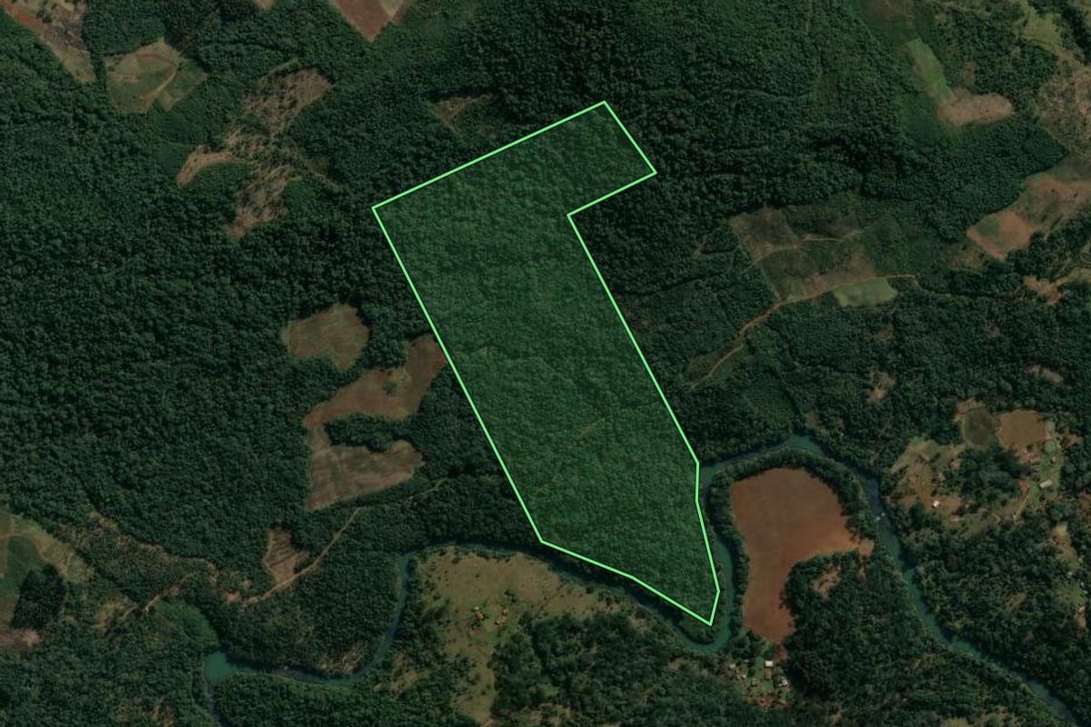 Imagem de satélite do imóvel rural em Cruz Machado (PR), com o contorno declarado no CAR desenhado por cima.