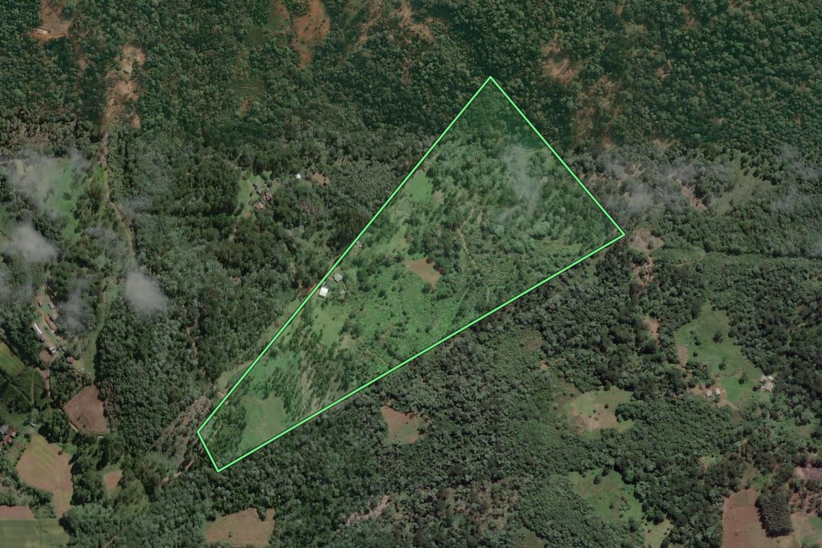 Imagem de satélite do imóvel rural em Cruz Machado (PR), com o contorno declarado no CAR desenhado por cima.