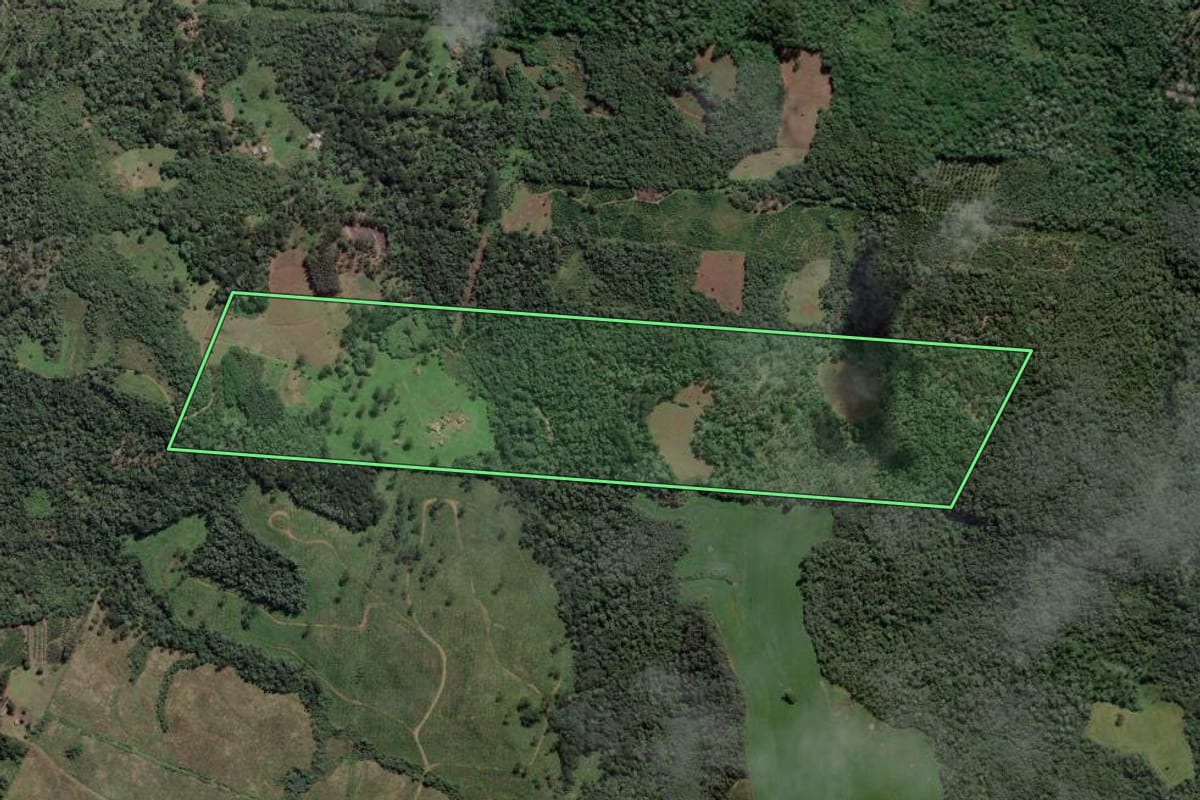 Imagem de satélite do imóvel rural em Cruz Machado (PR), com o contorno declarado no CAR desenhado por cima.