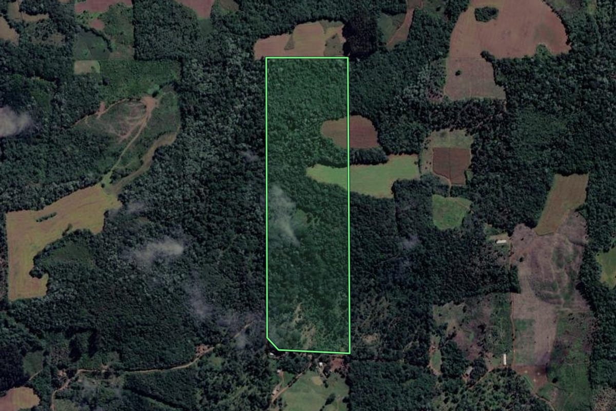 Imagem de satélite do imóvel rural em Cruz Machado (PR), com o contorno declarado no CAR desenhado por cima.