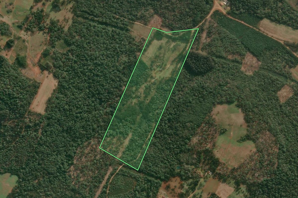 Imagem de satélite do imóvel rural em Cruz Machado (PR), com o contorno declarado no CAR desenhado por cima.
