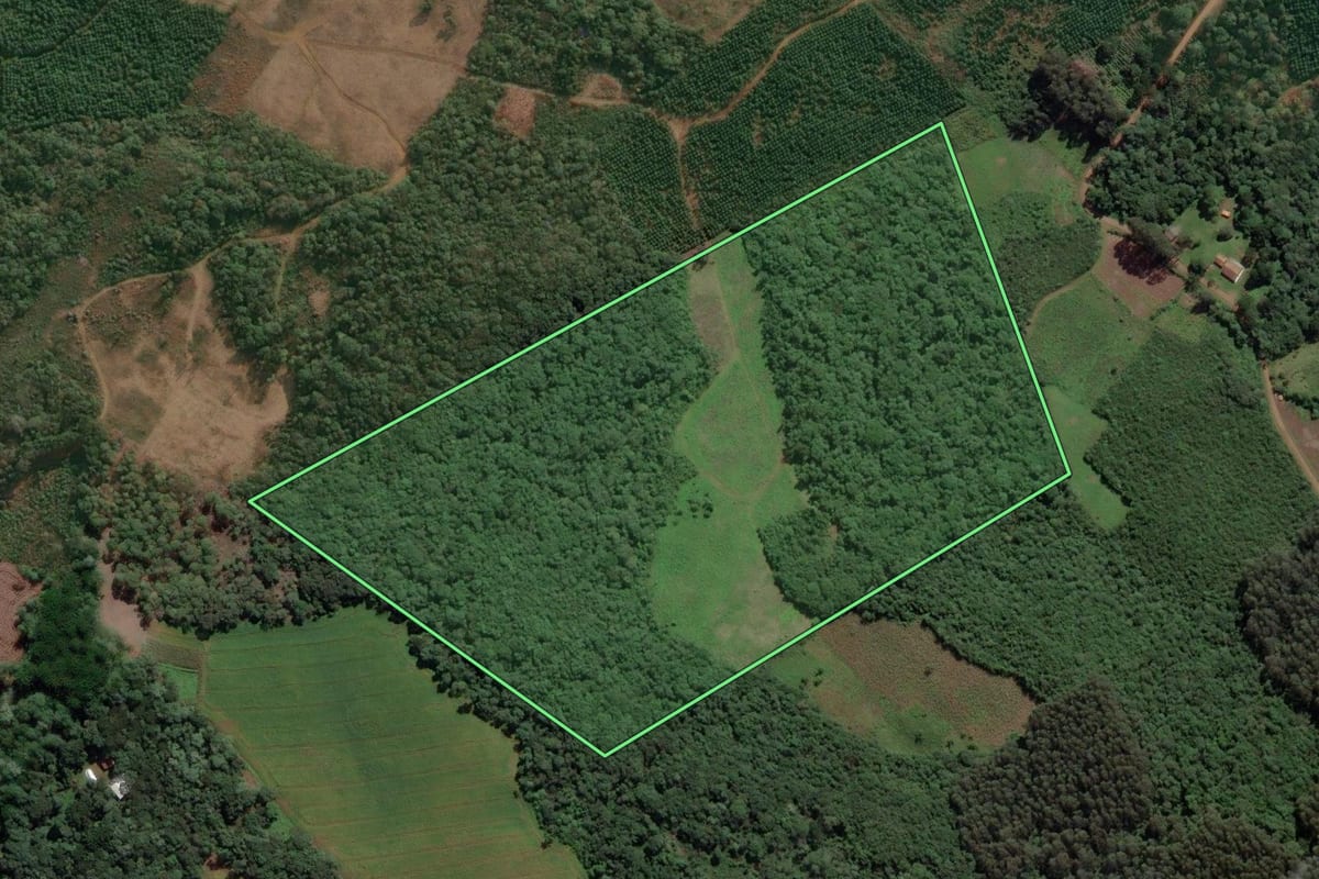 Imagem de satélite do imóvel rural em Cruz Machado (PR), com o contorno declarado no CAR desenhado por cima.