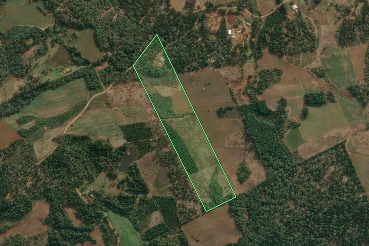 Imagem de satélite do imóvel rural em Cruz Machado (PR), com o contorno declarado no CAR desenhado por cima.