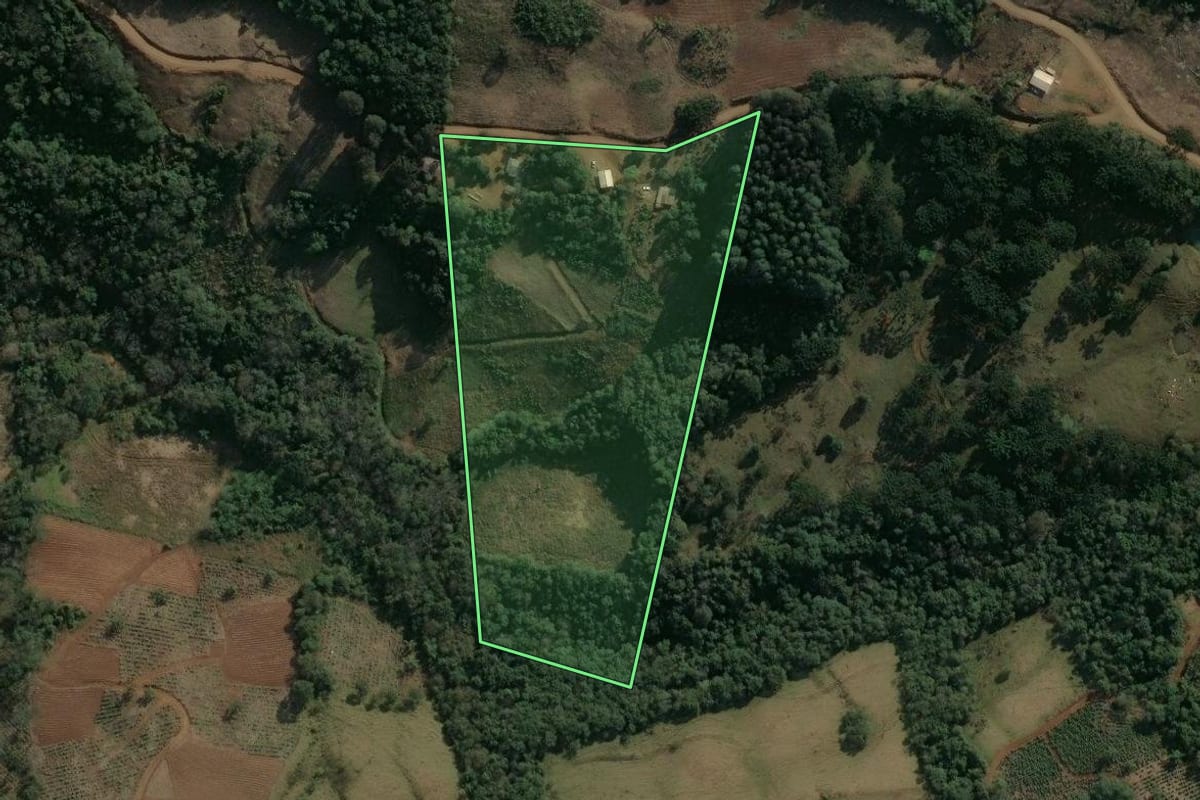Imagem de satélite do imóvel rural em Cruz Machado (PR), com o contorno declarado no CAR desenhado por cima.