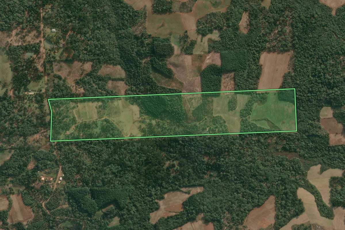 Imagem de satélite do imóvel rural em Cruz Machado (PR), com o contorno declarado no CAR desenhado por cima.