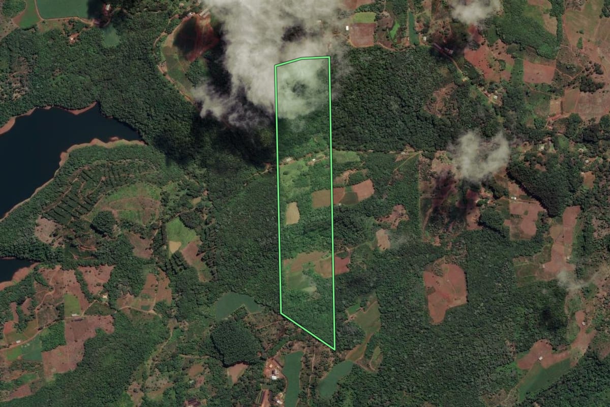 Imagem de satélite do imóvel rural em Cruz Machado (PR), com o contorno declarado no CAR desenhado por cima.
