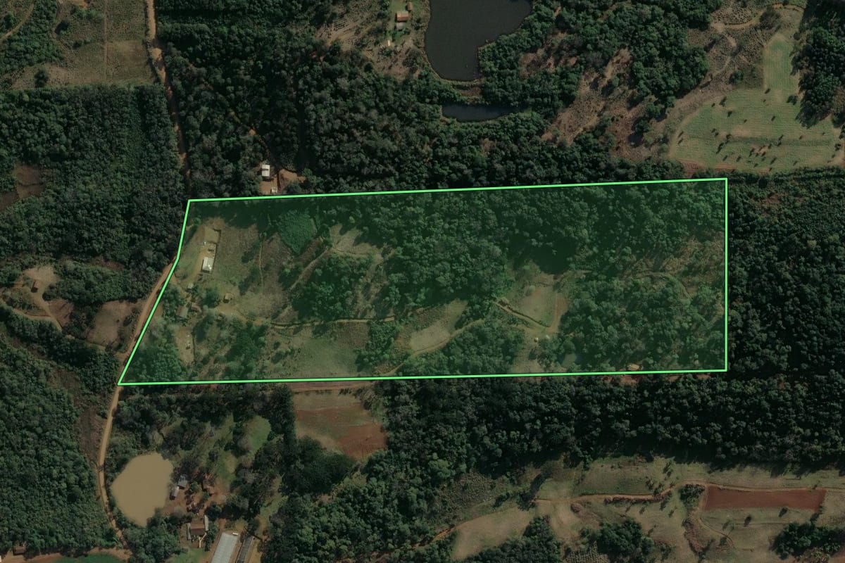 Imagem de satélite do imóvel rural em Cruz Machado (PR), com o contorno declarado no CAR desenhado por cima.