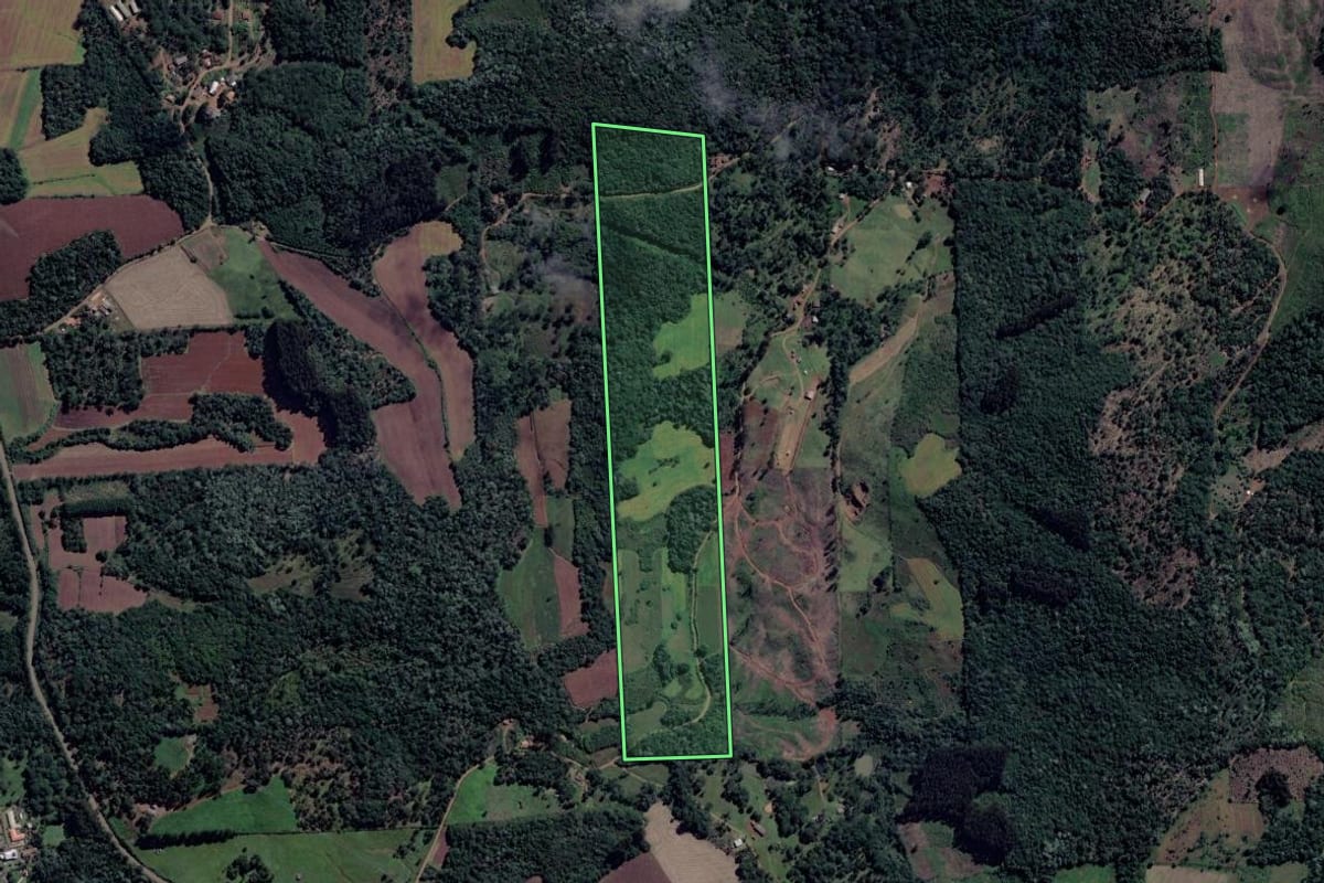 Imagem de satélite do imóvel rural em Cruz Machado (PR), com o contorno declarado no CAR desenhado por cima.