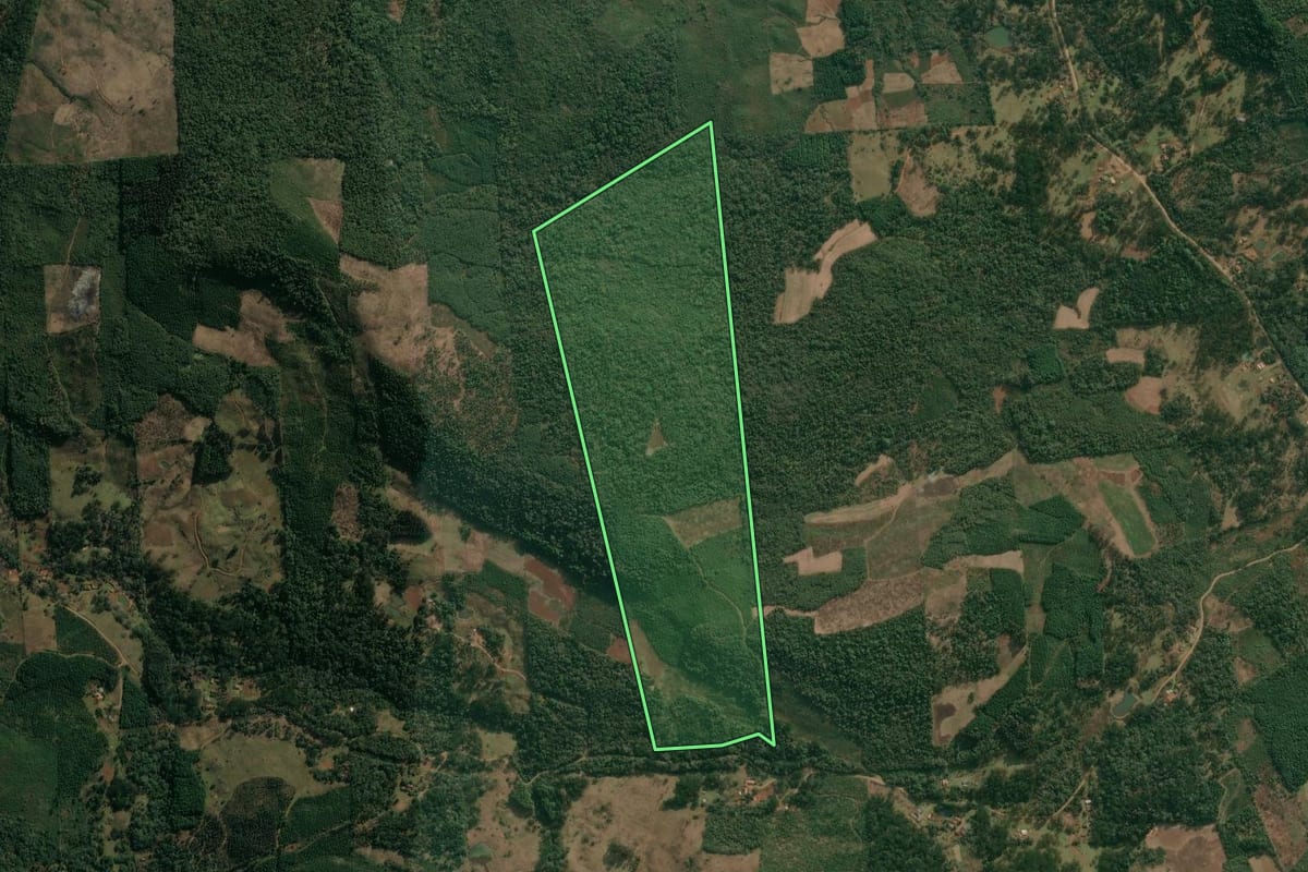 Imagem de satélite do imóvel rural em Cruz Machado (PR), com o contorno declarado no CAR desenhado por cima.