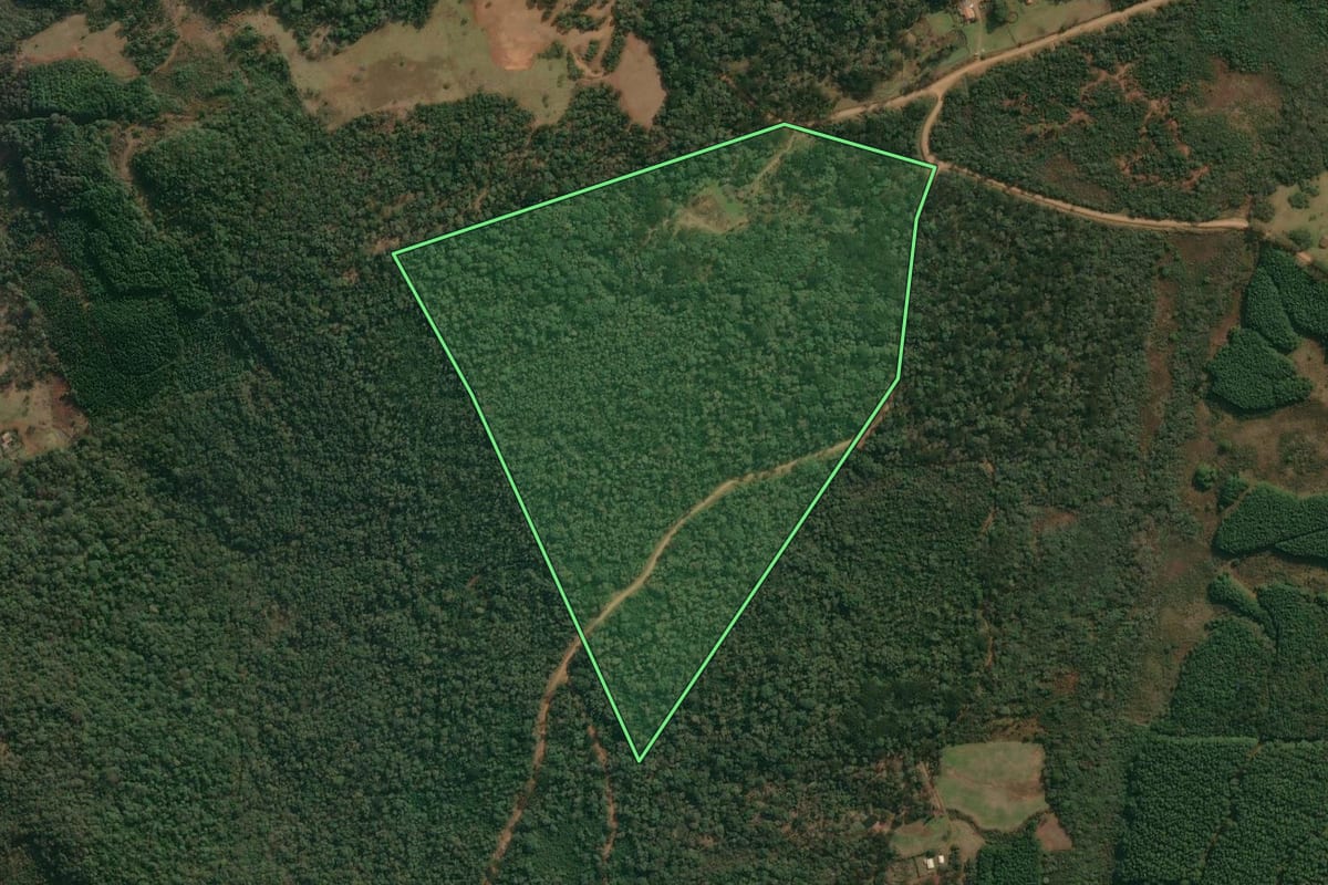 Imagem de satélite do imóvel rural em Cruz Machado (PR), com o contorno declarado no CAR desenhado por cima.