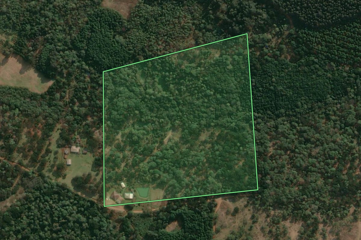 Imagem de satélite do imóvel rural em Cruz Machado (PR), com o contorno declarado no CAR desenhado por cima.