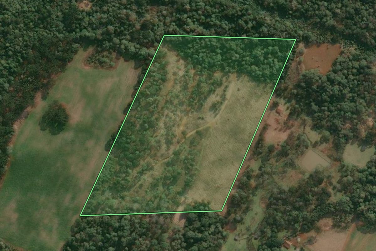 Imagem de satélite do imóvel rural em Cruz Machado (PR), com o contorno declarado no CAR desenhado por cima.