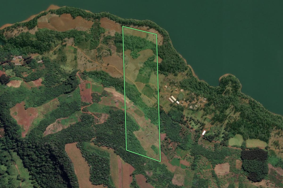 Imagem de satélite do imóvel rural em Cruz Machado (PR), com o contorno declarado no CAR desenhado por cima.