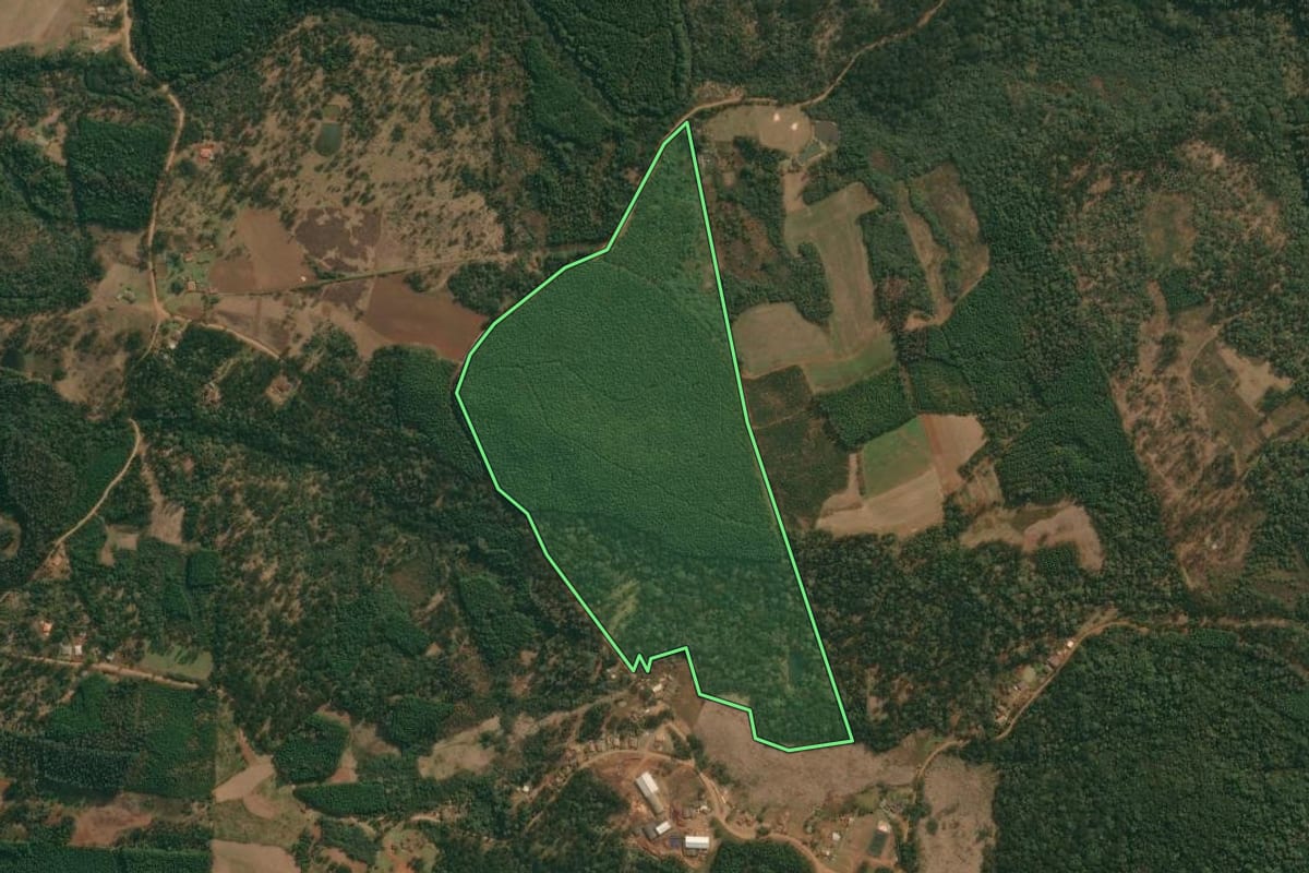 Imagem de satélite do imóvel rural em Cruz Machado (PR), com o contorno declarado no CAR desenhado por cima.