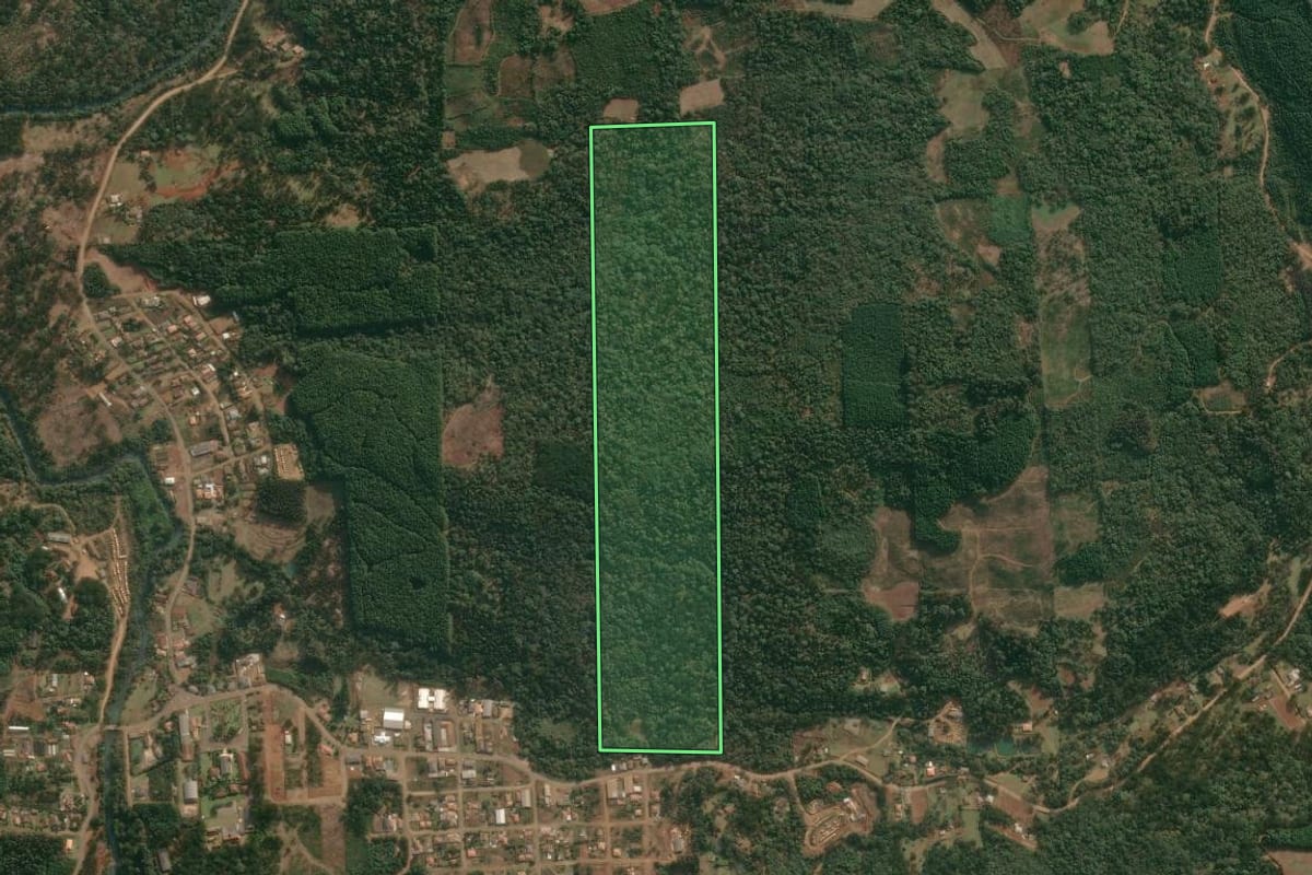 Imagem de satélite do imóvel rural em Cruz Machado (PR), com o contorno declarado no CAR desenhado por cima.