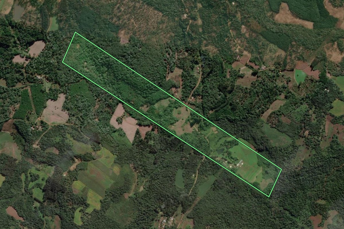 Imagem de satélite do imóvel rural em Cruz Machado (PR), com o contorno declarado no CAR desenhado por cima.
