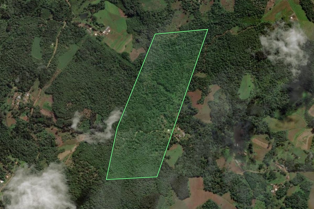 Imagem de satélite do imóvel rural em Cruz Machado (PR), com o contorno declarado no CAR desenhado por cima.