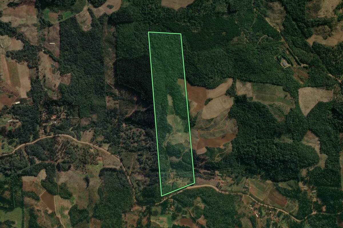 Imagem de satélite do imóvel rural em Cruz Machado (PR), com o contorno declarado no CAR desenhado por cima.