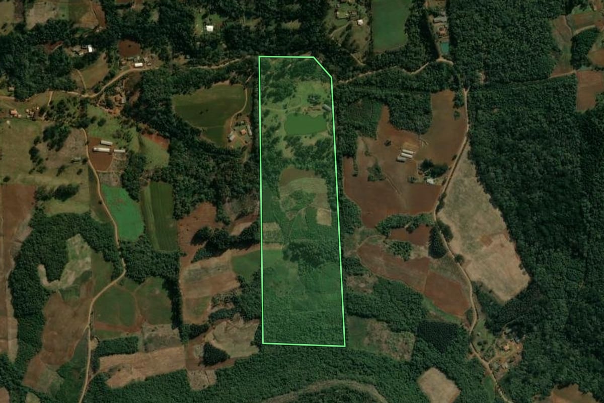 Imagem de satélite do imóvel rural em Cruz Machado (PR), com o contorno declarado no CAR desenhado por cima.