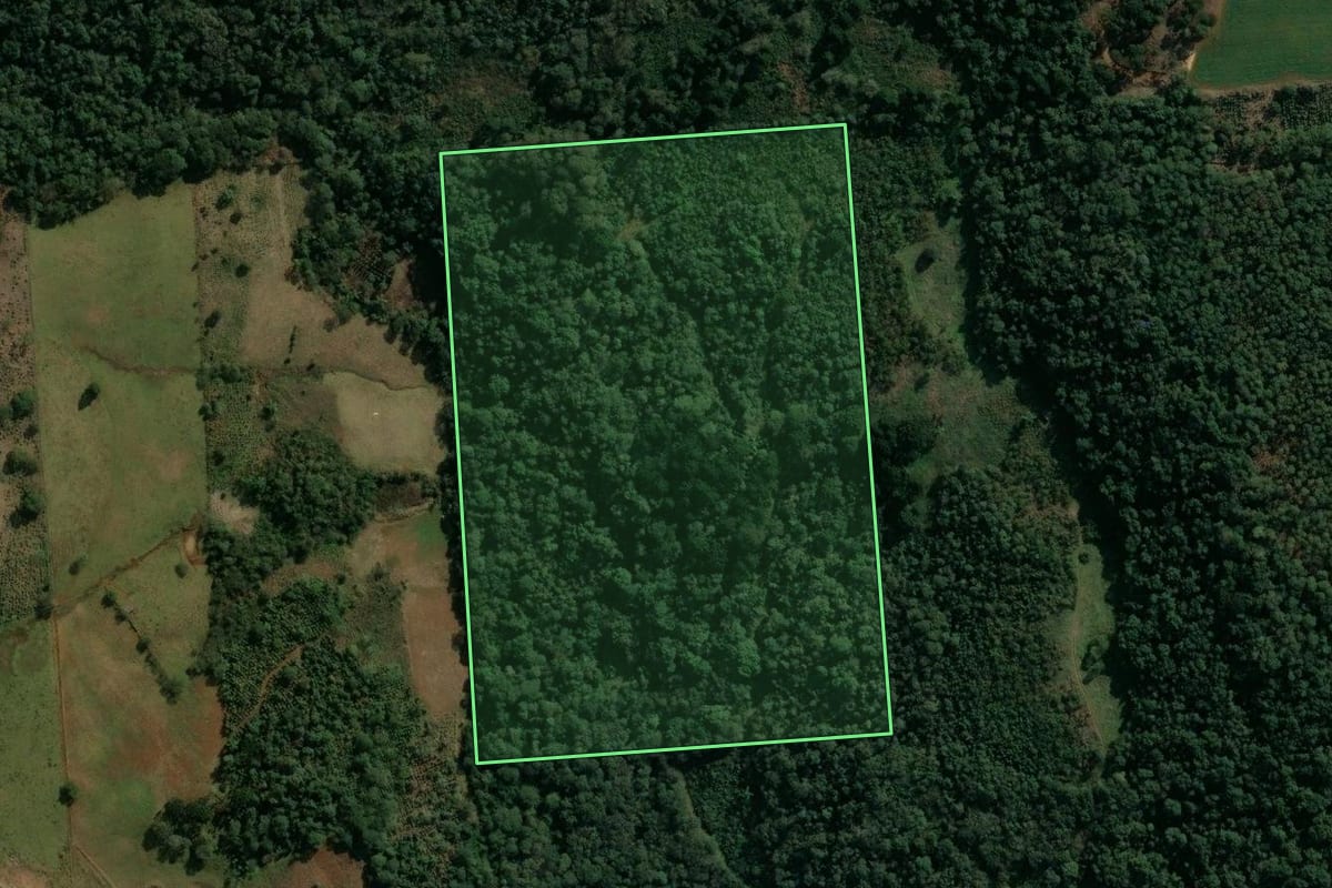 Imagem de satélite do imóvel rural em Cruz Machado (PR), com o contorno declarado no CAR desenhado por cima.