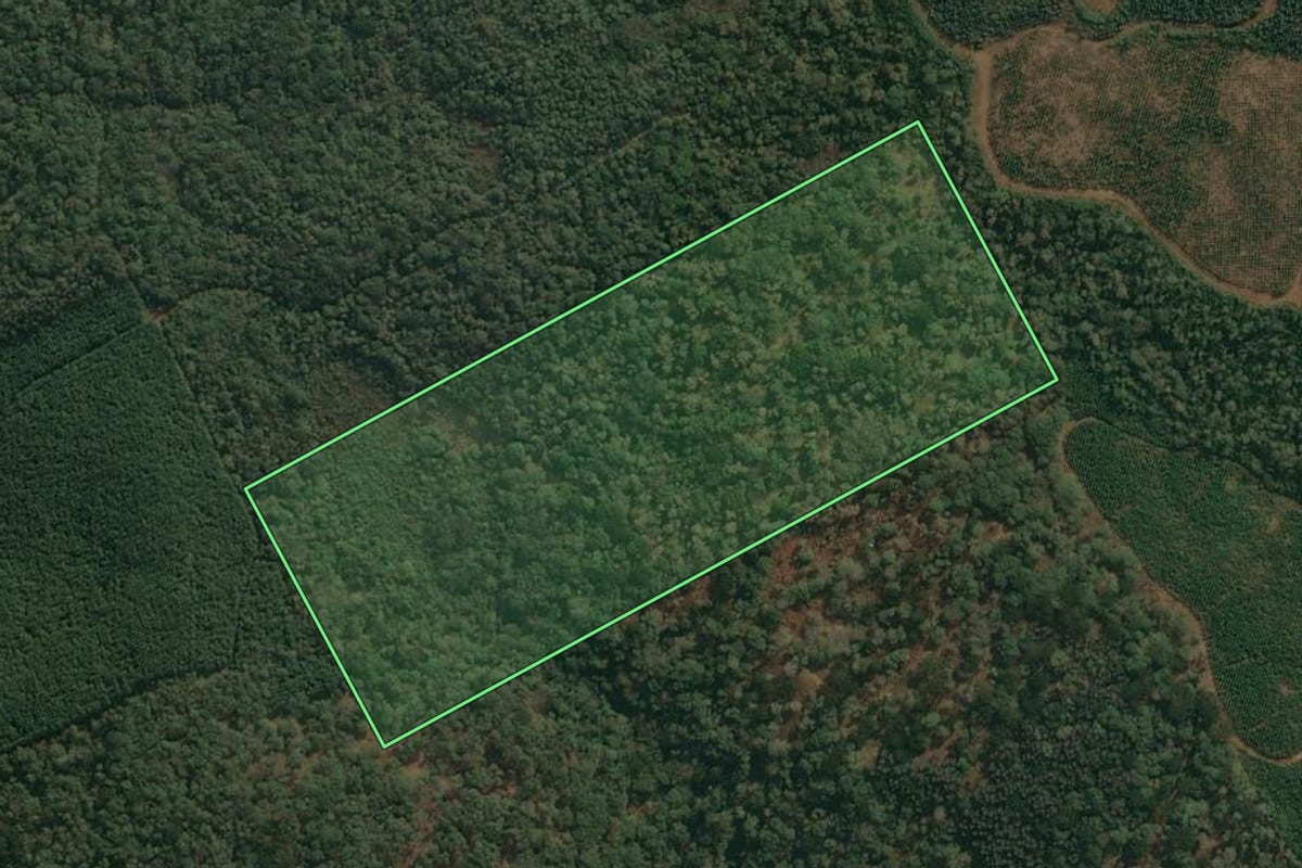 Imagem de satélite do imóvel rural em Cruz Machado (PR), com o contorno declarado no CAR desenhado por cima.