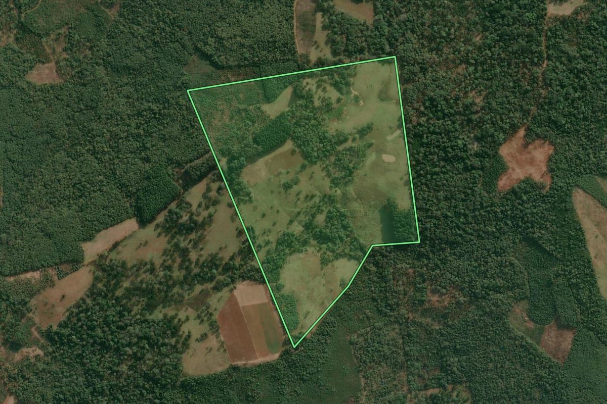 Imagem de satélite do imóvel rural em Cruz Machado (PR), com o contorno declarado no CAR desenhado por cima.