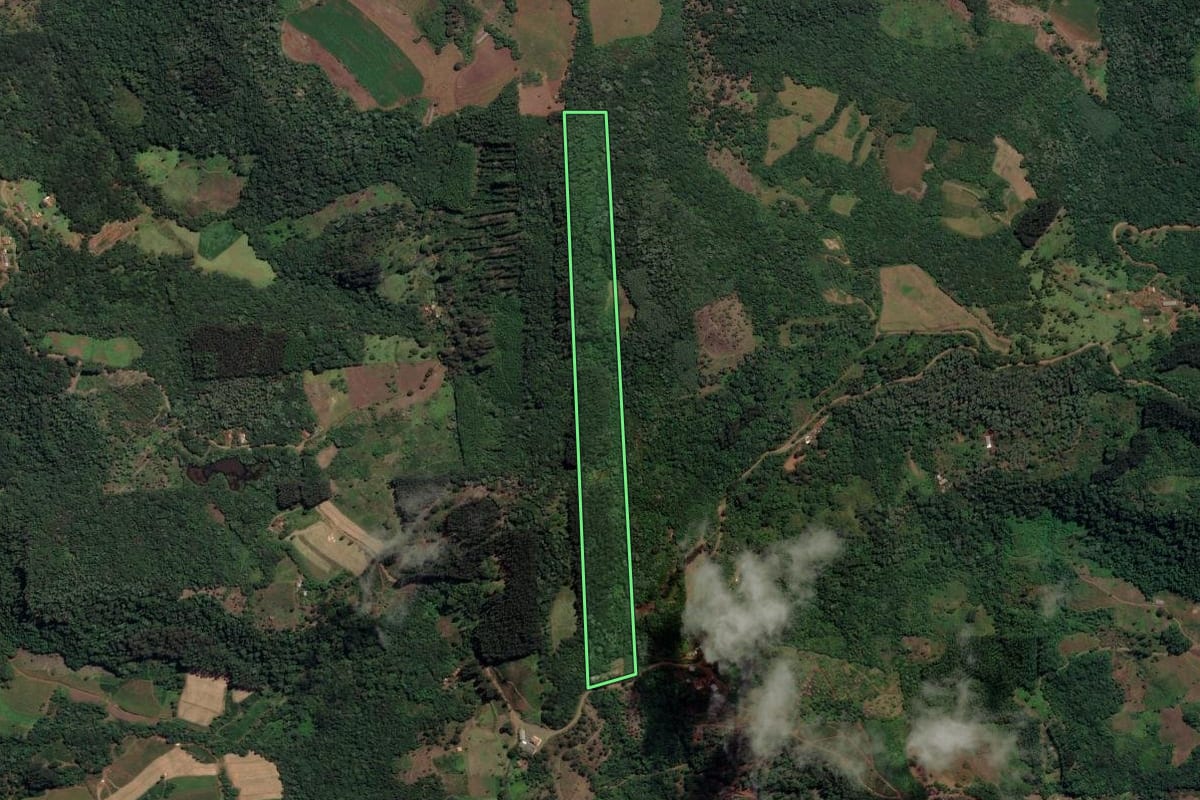 Imagem de satélite do imóvel rural em Cruz Machado (PR), com o contorno declarado no CAR desenhado por cima.