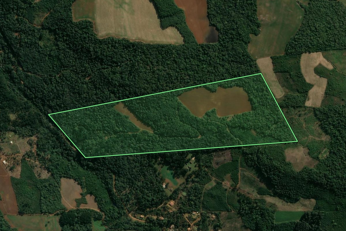 Imagem de satélite do imóvel rural em Cruz Machado (PR), com o contorno declarado no CAR desenhado por cima.