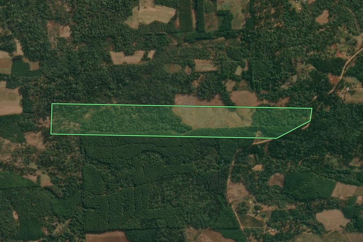 Imagem de satélite do imóvel rural em Cruz Machado (PR), com o contorno declarado no CAR desenhado por cima.