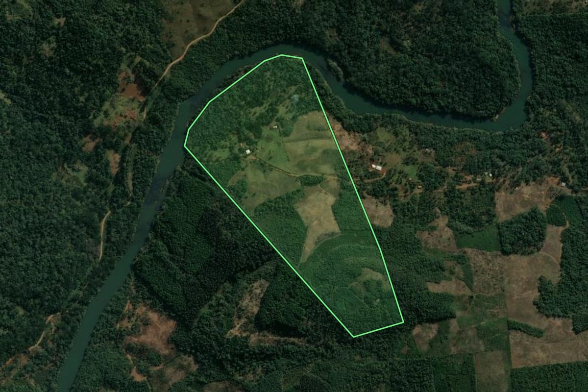 Imagem de satélite do imóvel rural em Cruz Machado (PR), com o contorno declarado no CAR desenhado por cima.